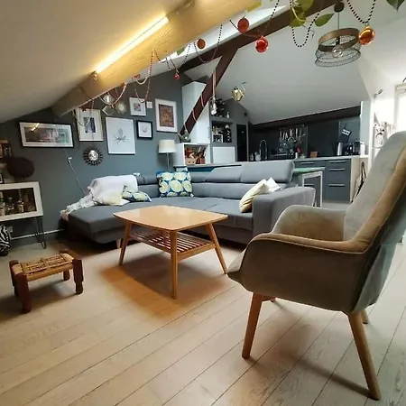 Apartament Sous Les Toits De Pantin