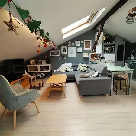 Apartament Sous Les Toits De *