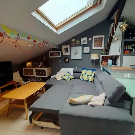 Apartament Sous Les Toits De